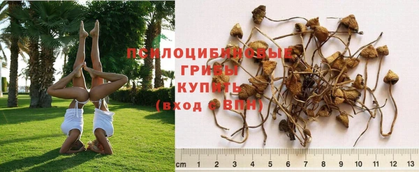 spice Новозыбков