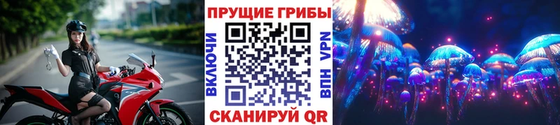 купить наркотики сайты  Сосновка  Псилоцибиновые грибы прущие грибы 